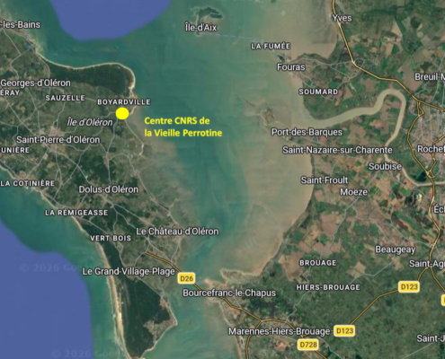 Centre CNRS Oléron (la Vieille Perrotine) : plan de situation